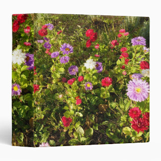Beautiful colourful  daisy flowers binder