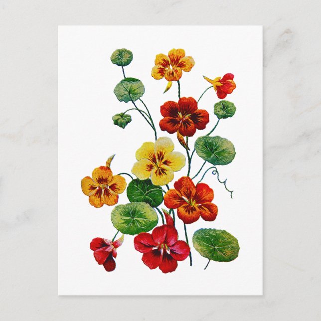 Beautiful Colourful Embroidered Nasturtiums Postcard (Front)