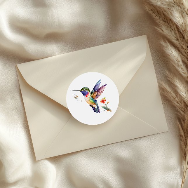 Beautiful colourful hummingbird illustration classic round sticker (Creator Uploaded)