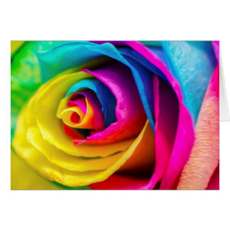 Beautiful Colourful Rainbow Rose Love Poem