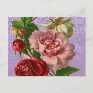 Beautiful Colourful Roses Postcard