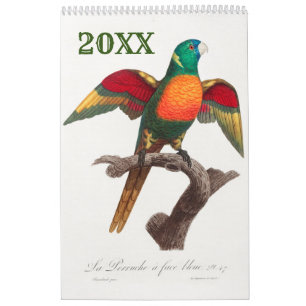 Beautiful Colourful Tropical Parrots Calendar