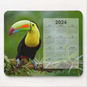 Beautiful & Colourful Tropical Toucan 2024 Calenda Mouse Pad