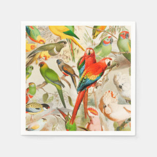 Beautiful Colourful Vintage Tropical Birds Parrots Napkin