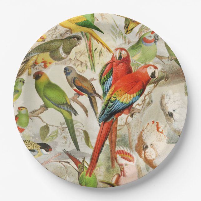 Beautiful Colourful Vintage Tropical Birds Parrots Paper Plate (Front)