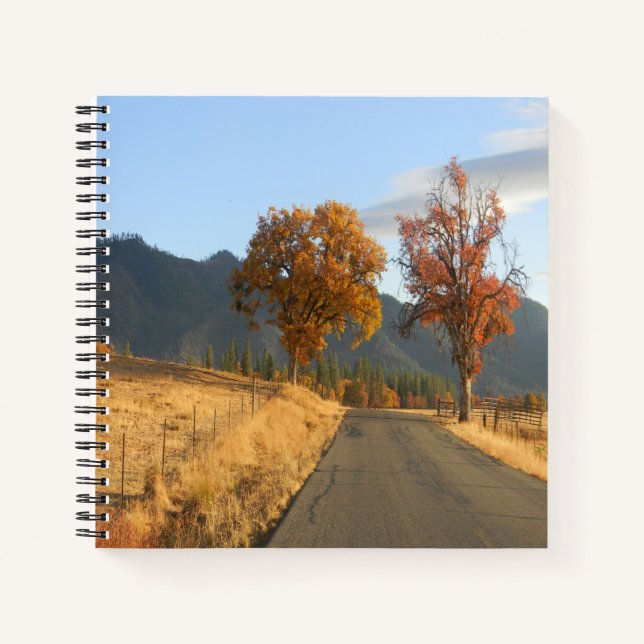 Beautiful colours of Fall.... Notebook (Front)