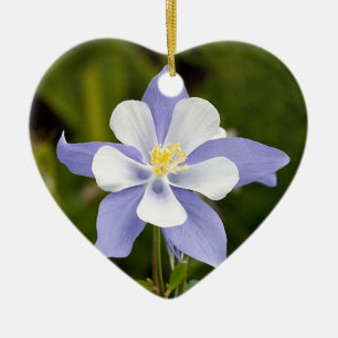 Beautiful Columbine Ceramic Ornament