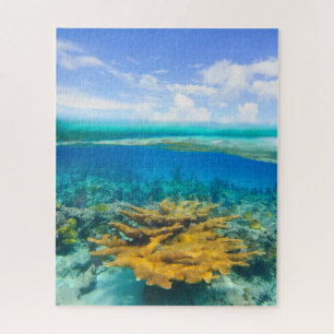 Beautiful Coral Reef Above and Below Jigsaw Puzzle
