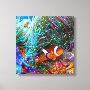 Beautiful Coral Reef with Clown Fish Canvas Print