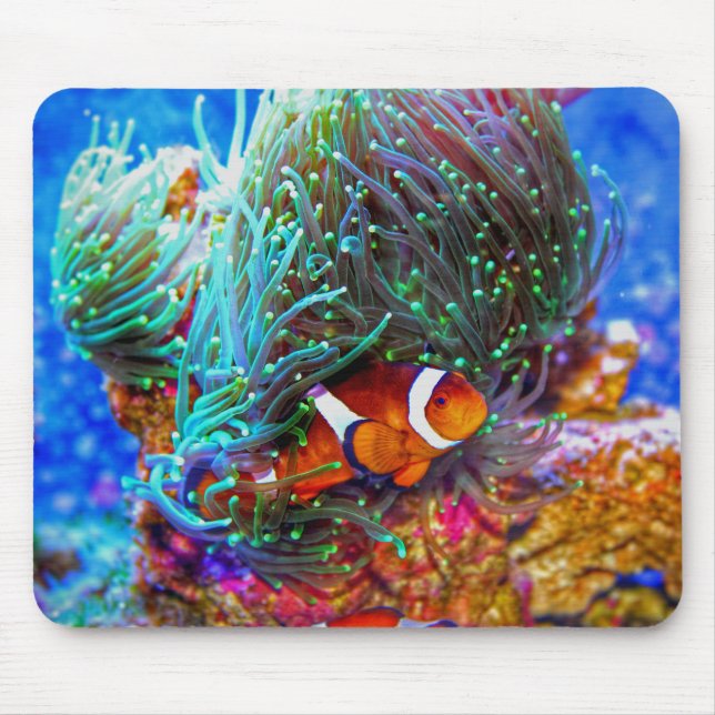 Beautiful Coral Reef with Clown Fish Mouse Pad (Front)