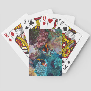 Beautiful Coral Reef with Fish Playing Cards