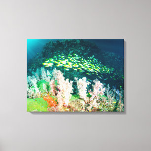 Beautiful Coral Reef with School of Fish Canvas Print