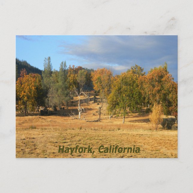 Beautiful country... postcard (Front)