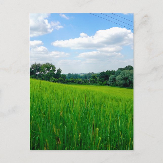 Beautiful countryside invitation postcard (Front)