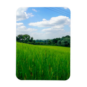 Beautiful countryside magnet