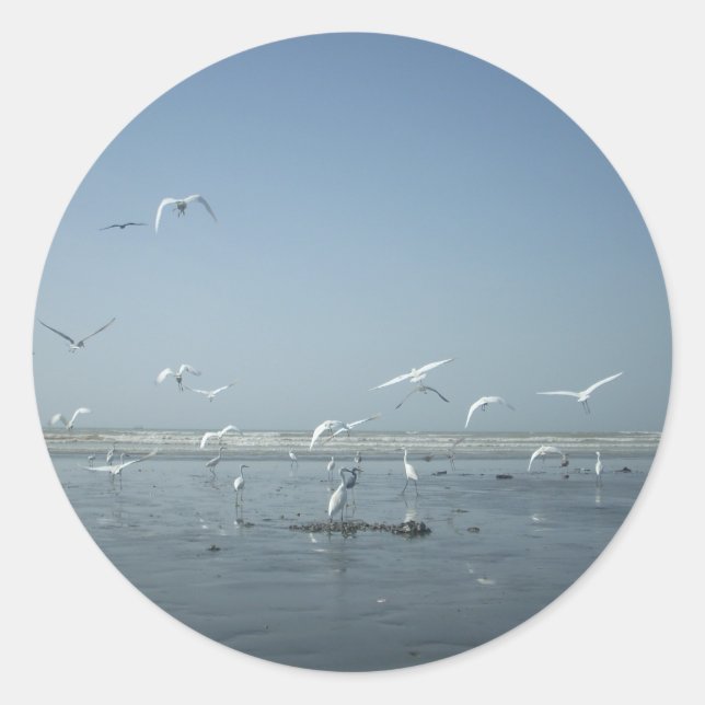 Beautiful Cranes Flying Over Water Nature's Ballet Classic Round Sticker (Front)