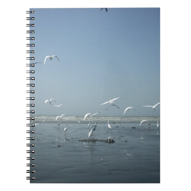 Beautiful Cranes Flying Over Water Nature's Ballet Notebook (Front)