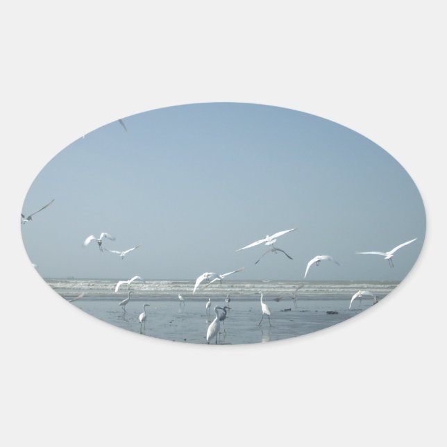 Beautiful Cranes Flying Over Water Nature's Ballet Oval Sticker (Front)