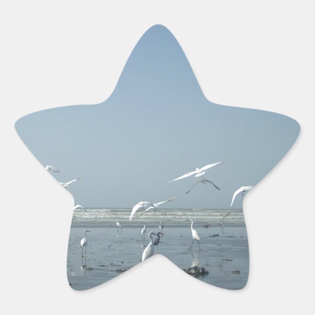 Beautiful Cranes Flying Over Water Nature's Ballet Star Sticker (Front)