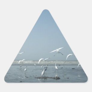 Beautiful Cranes Flying Over Water Nature's Ballet Triangle Sticker