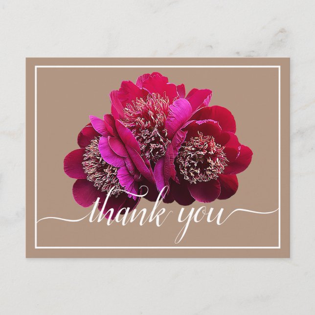 Beautiful Crimson Peonies Colour Backdrop Thank Yo Postcard (Front)