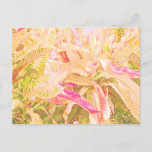Beautiful croton leaves (1) postcard