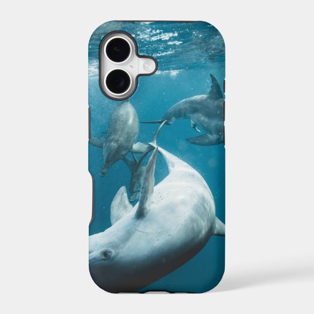 Beautiful Cute Dolphins (Back)