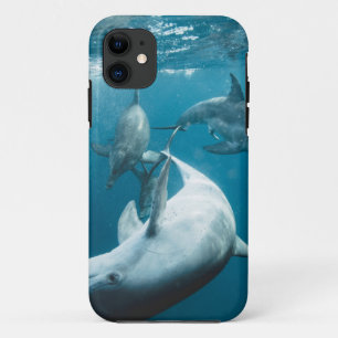 Beautiful Cute Dolphins iPhone 11 Case
