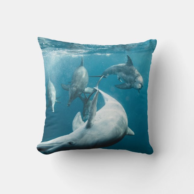 Beautiful Cute Dolphins Throw Pillow (Front)