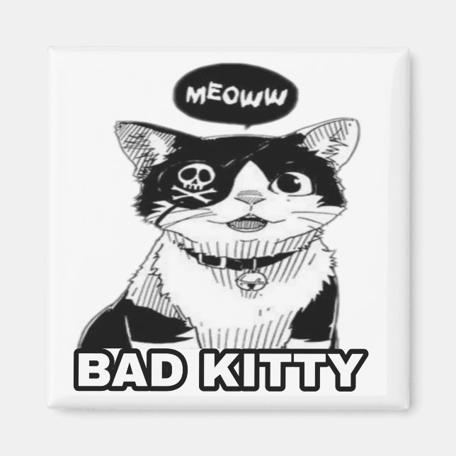 Beautiful cute funny cool cat 1 magnet (Front)