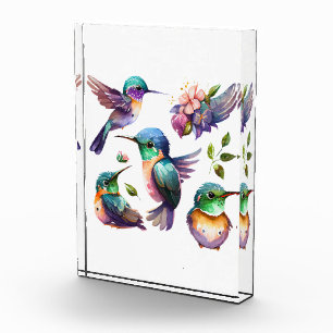 Beautiful & Cute Hummingbirds for Bird Lovers on   Photo Block