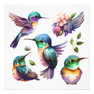 Beautiful & Cute Hummingbirds for Bird Lovers on Photo Print