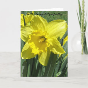 Beautiful daffodil sympathy card