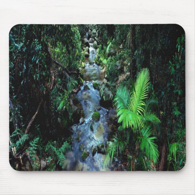 Beautiful Daintree National Park Mouse Pad (Front)