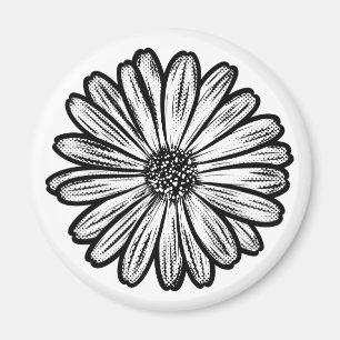 Beautiful Daisy Flower, Halftone Illustration Magnet