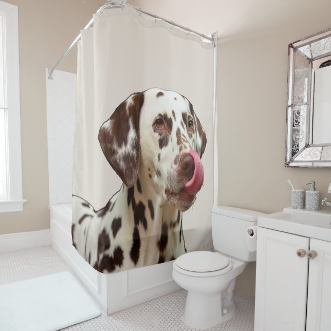 Beautiful Dalmatian Dog Tan Brown Elegant (In Situ)