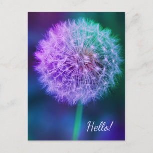 Beautiful Dandelion on Blue Background  Postcard