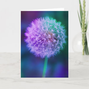 Beautiful Dandelion on Green and Blue Background Card