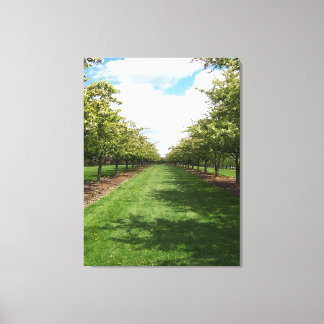 Beautiful Day Canvas Print