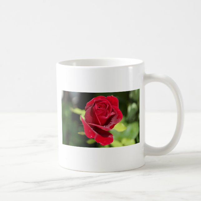 Beautiful Deep Red Rose Coffee Mug (Right)