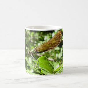 Beautiful Demoiselle Bug Mug