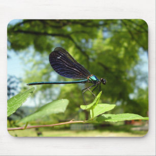 Beautiful Demoiselle Mouse Mat