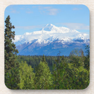 Beautiful Denali Coaster