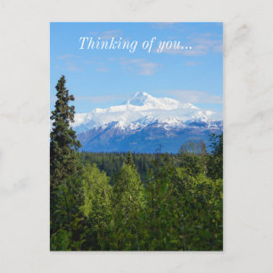 Beautiful Denali Postcard