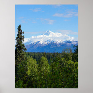 Beautiful Denali Poster