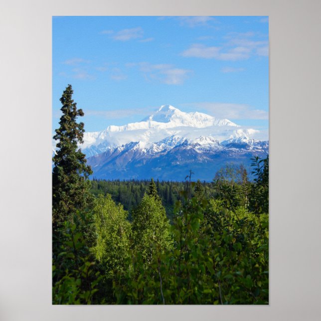 Beautiful Denali Poster (Front)