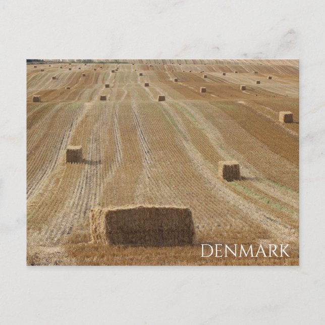 Beautiful Denmark Countryside Postcard! Postcard (Front)