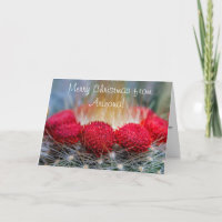 Beautiful Desert Greetings With Red Cactus Flowers