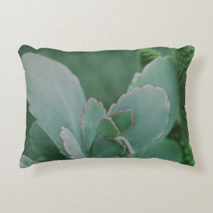 Beautiful Desert Plant Art Photograph Accent Pillow