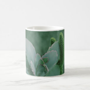 Beautiful Desert Plant Art Photograph Coffee Mug